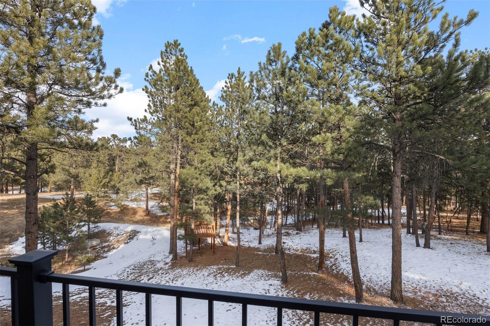 MLS Image #42 for 2492  baldy lane,evergreen, Colorado