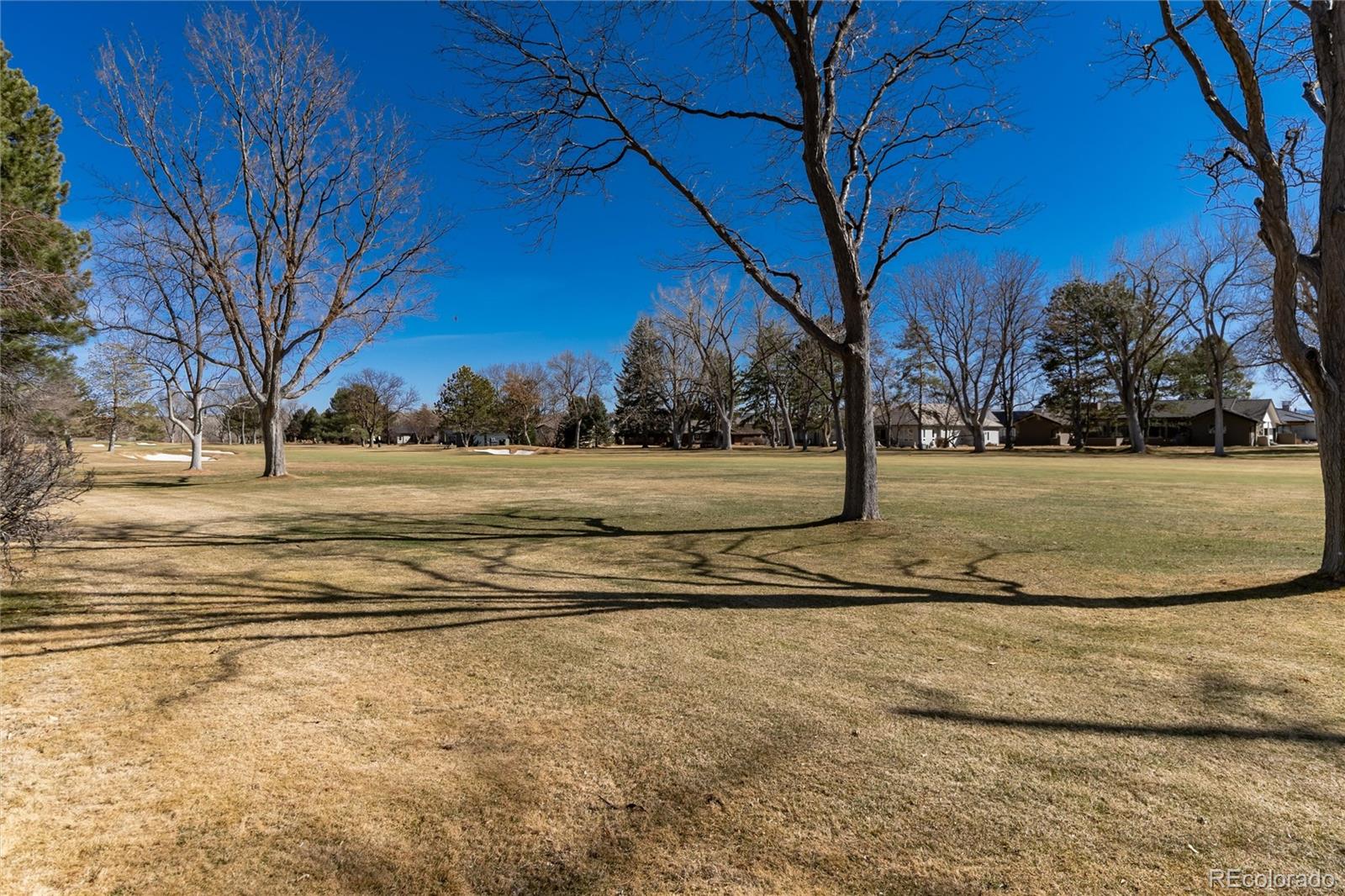 MLS Image #30 for 22  wedge way,littleton, Colorado