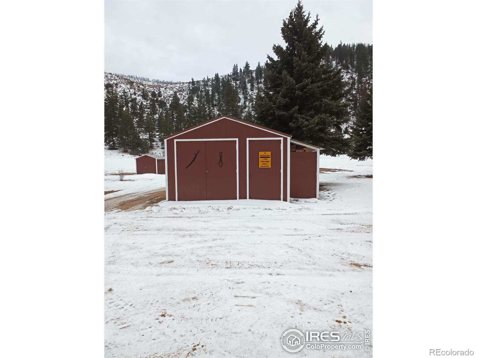 MLS Image #4 for 209  crown point drive,bellvue, Colorado