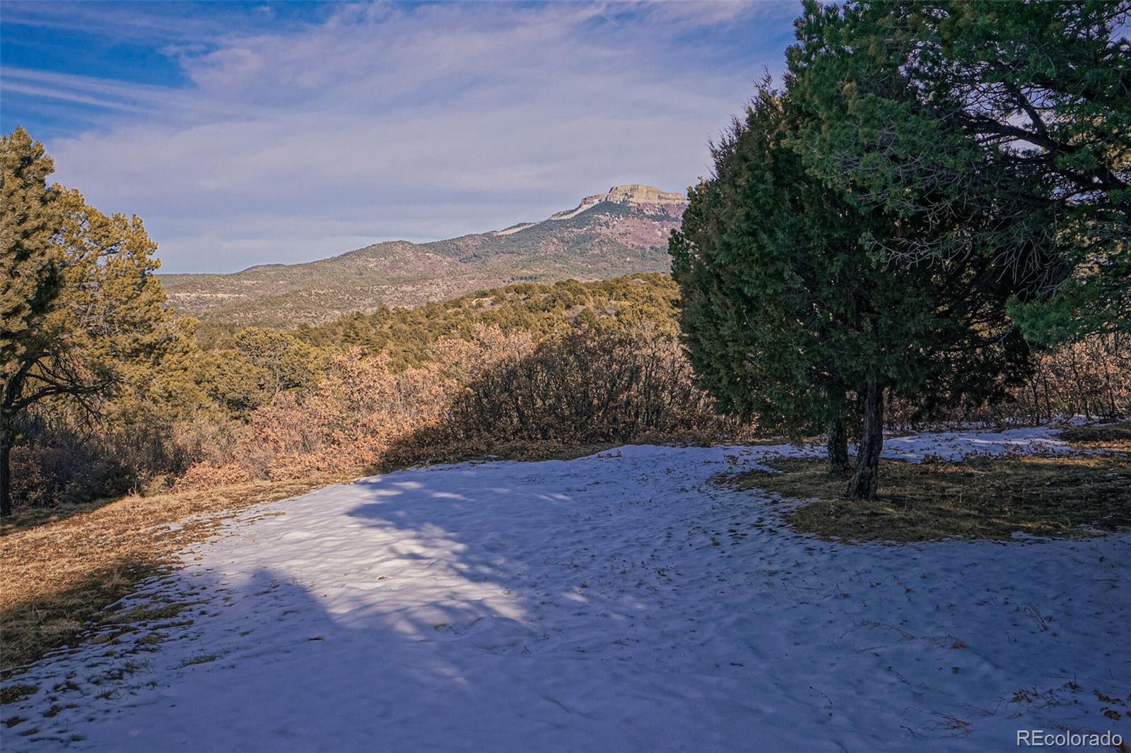 MLS Image #41 for 33081  oak park drive,trinidad, Colorado