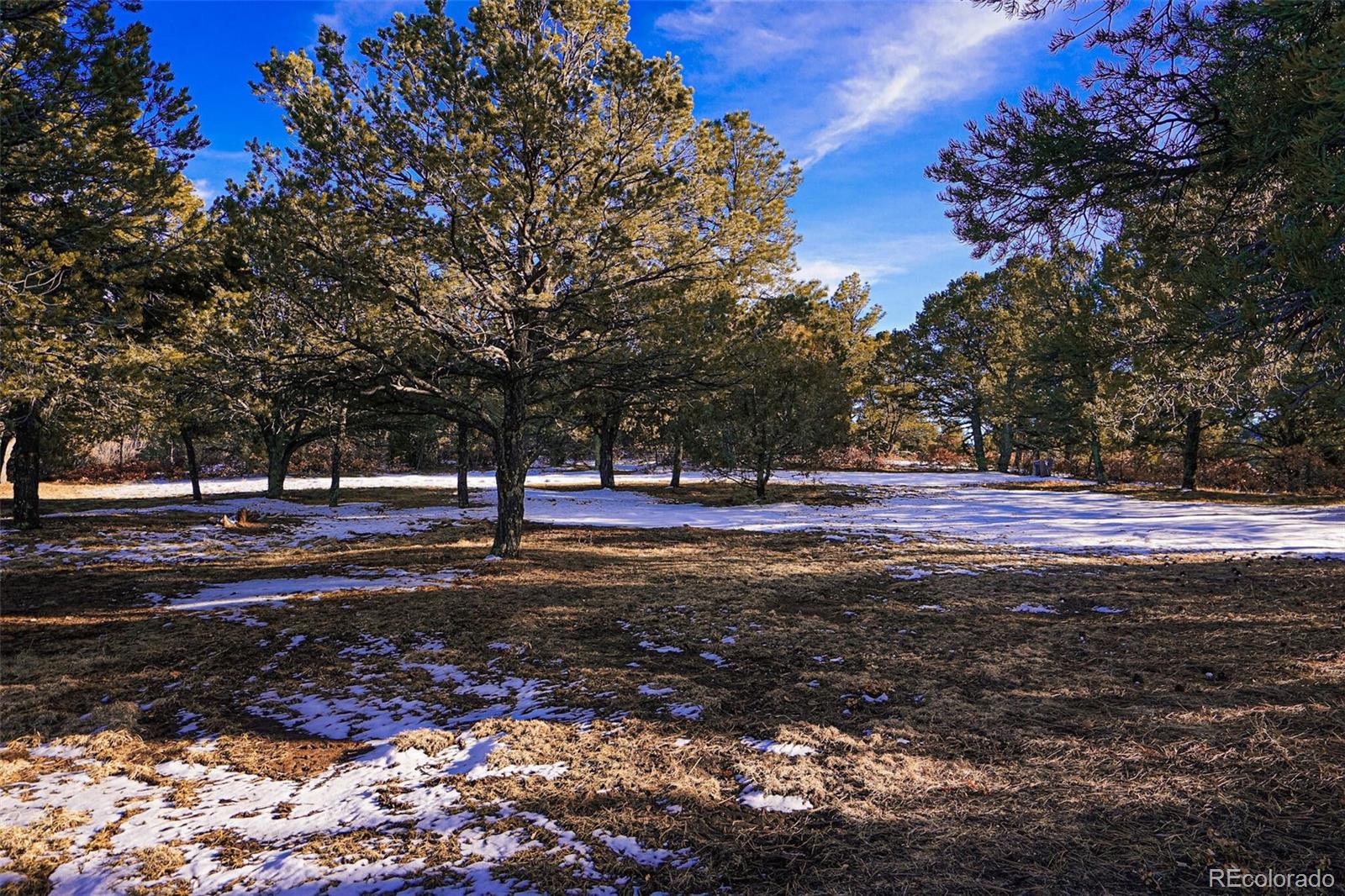 MLS Image #42 for 33081  oak park drive,trinidad, Colorado