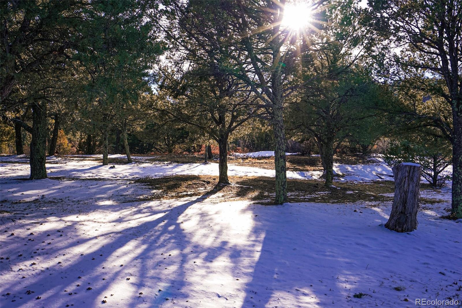 MLS Image #43 for 33081  oak park drive,trinidad, Colorado