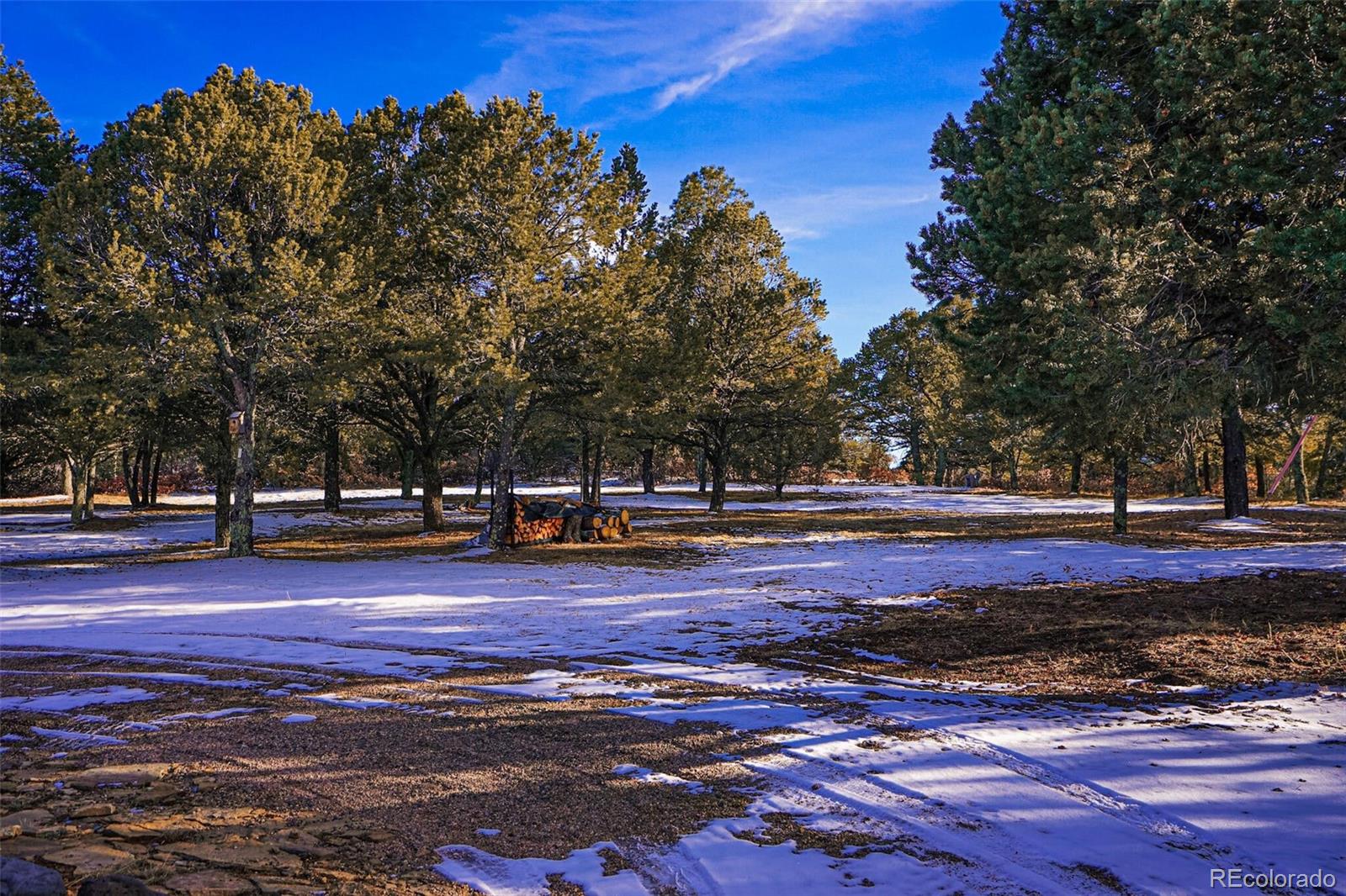 MLS Image #44 for 33081  oak park drive,trinidad, Colorado