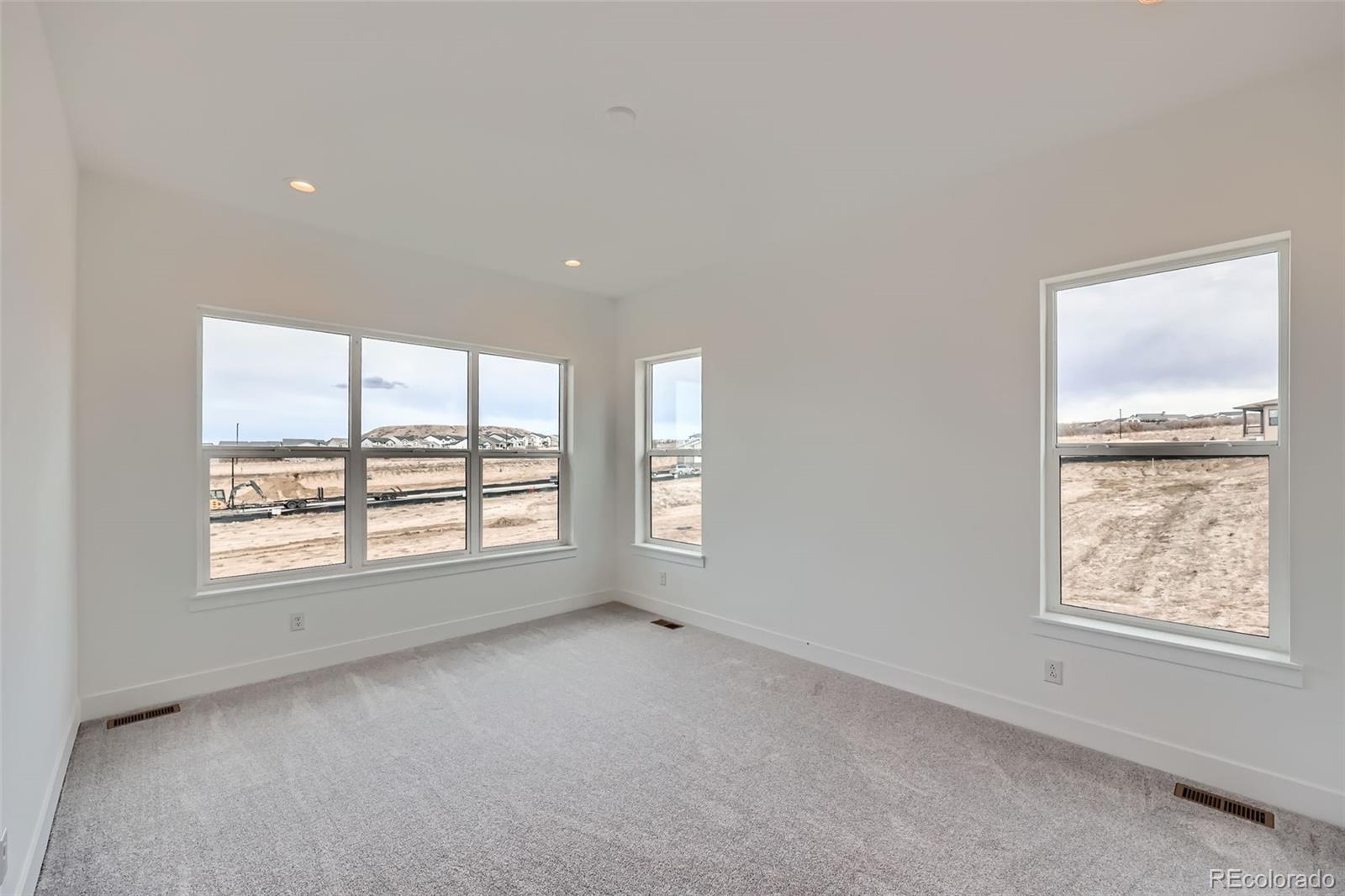 MLS Image #13 for 454  basin daisy street,castle rock, Colorado