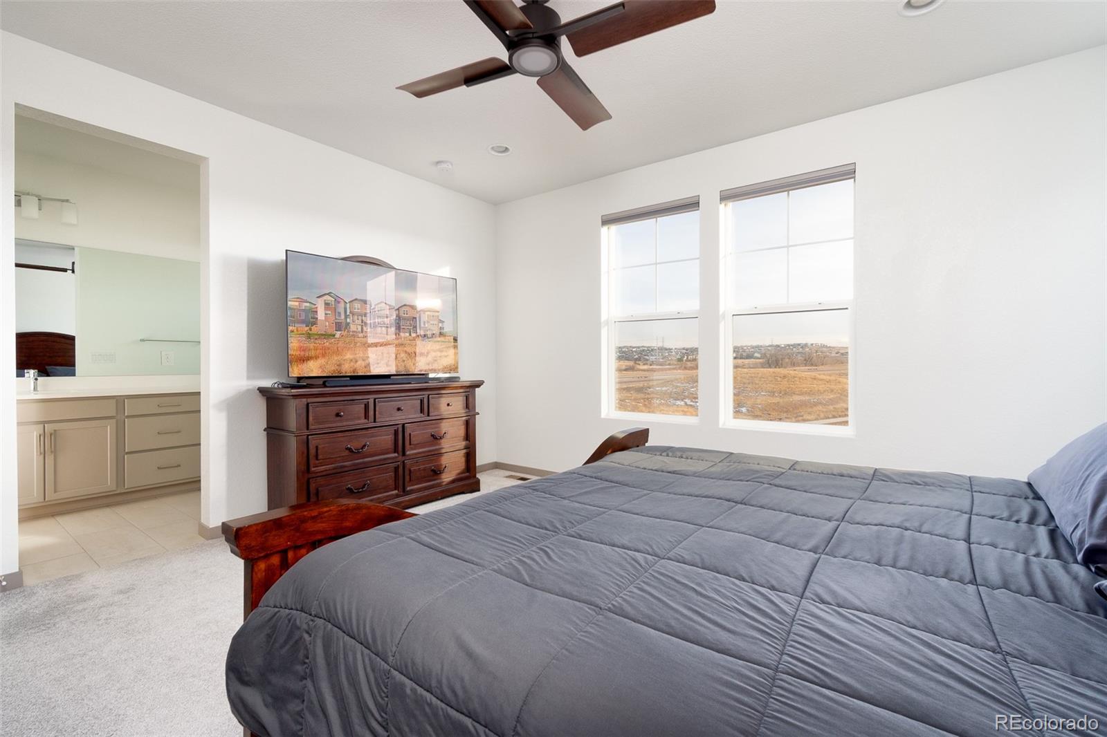 MLS Image #24 for 15018  cast pebble circle,parker, Colorado