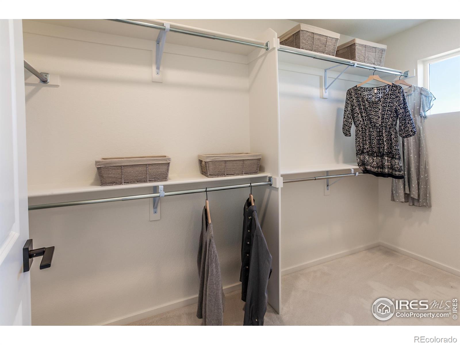 MLS Image #27 for 3124  sykes drive,fort collins, Colorado