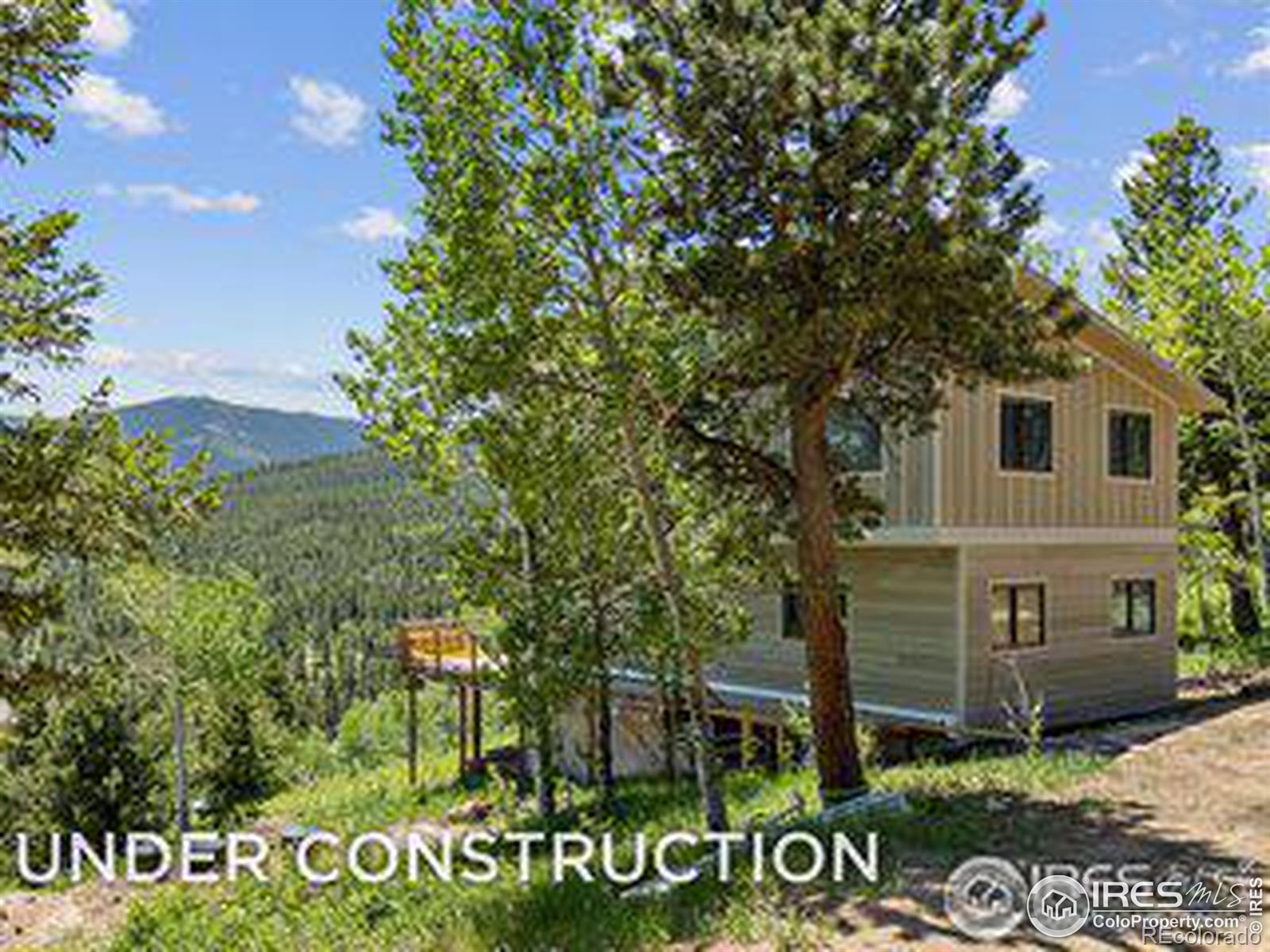 MLS Image #0 for 494 n skinner road,allenspark, Colorado