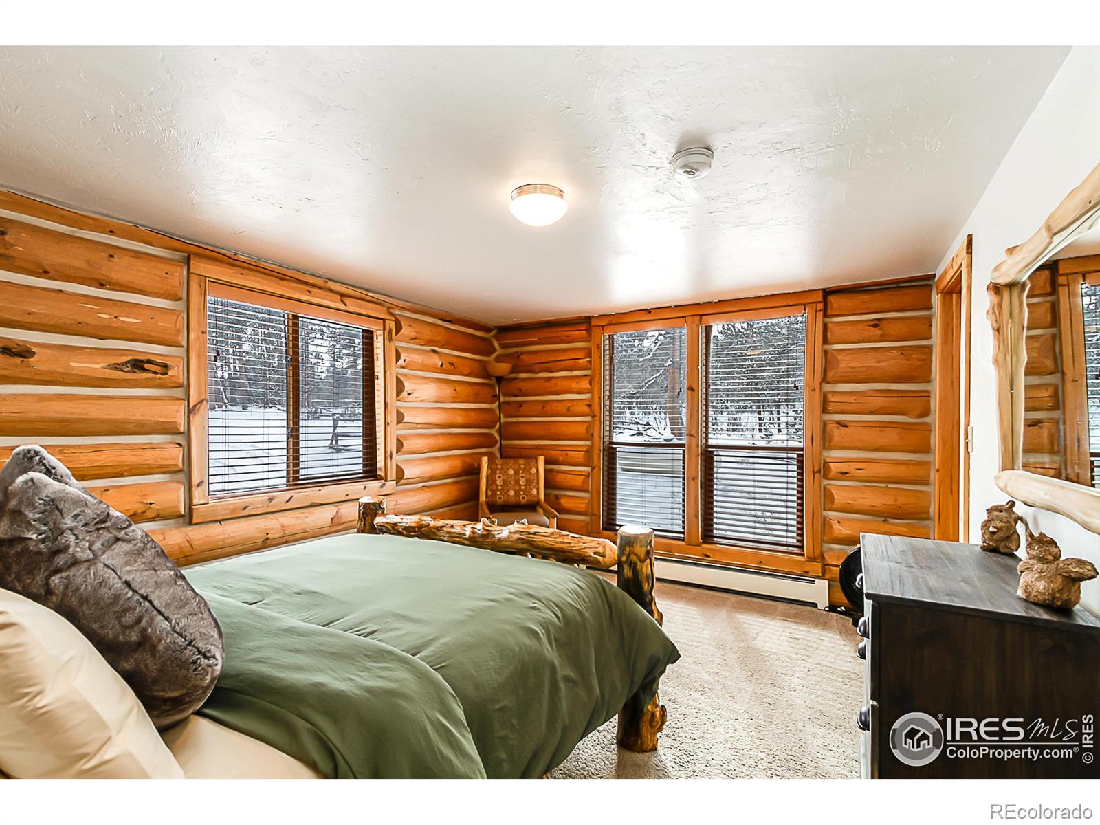 MLS Image #19 for 851  socorro trail,red feather lakes, Colorado