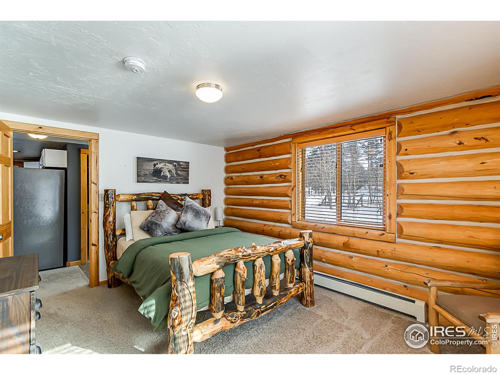 MLS Image #20 for 851  socorro trail,red feather lakes, Colorado