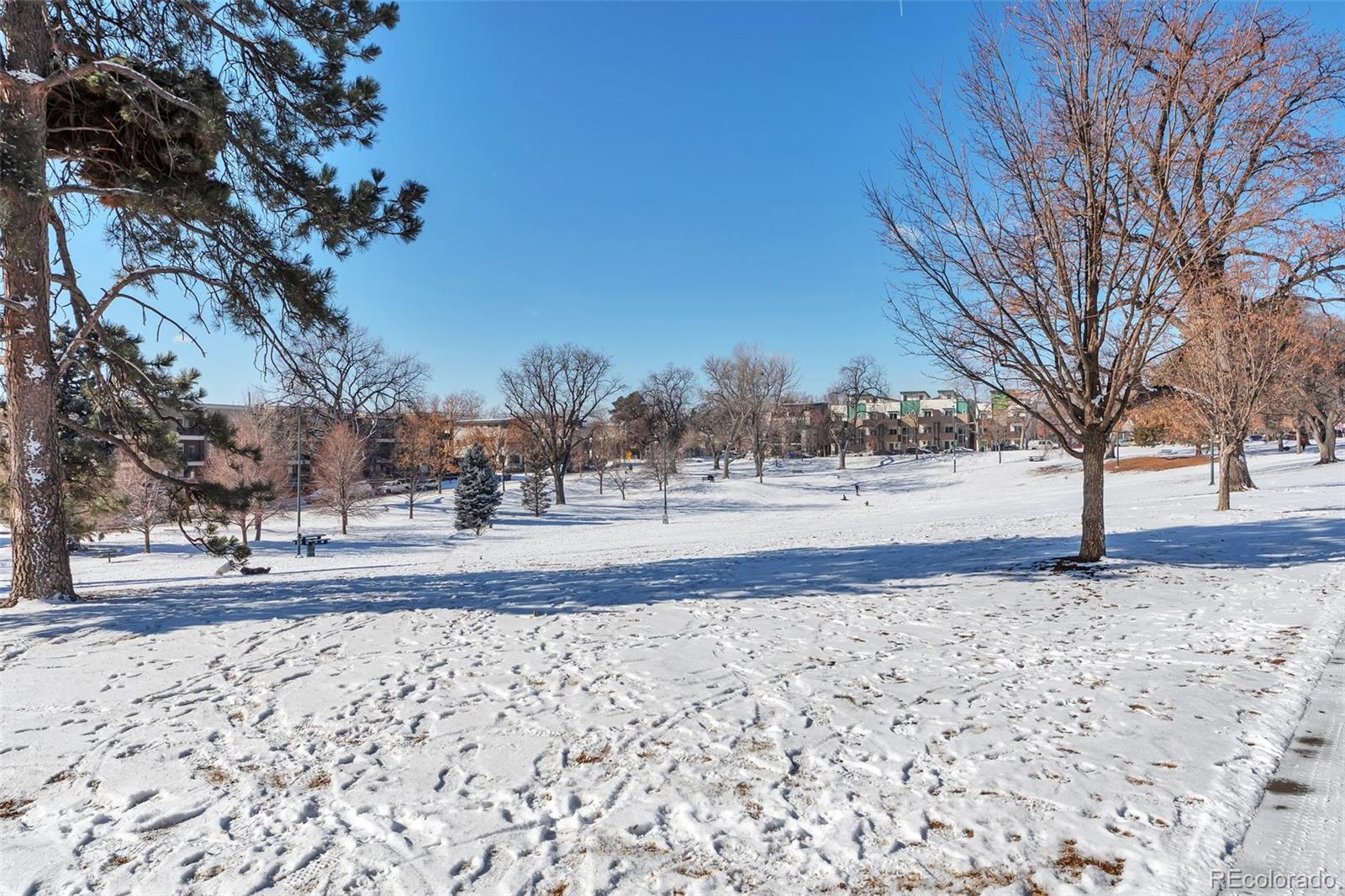 MLS Image #16 for 2114 n clay street,denver, Colorado