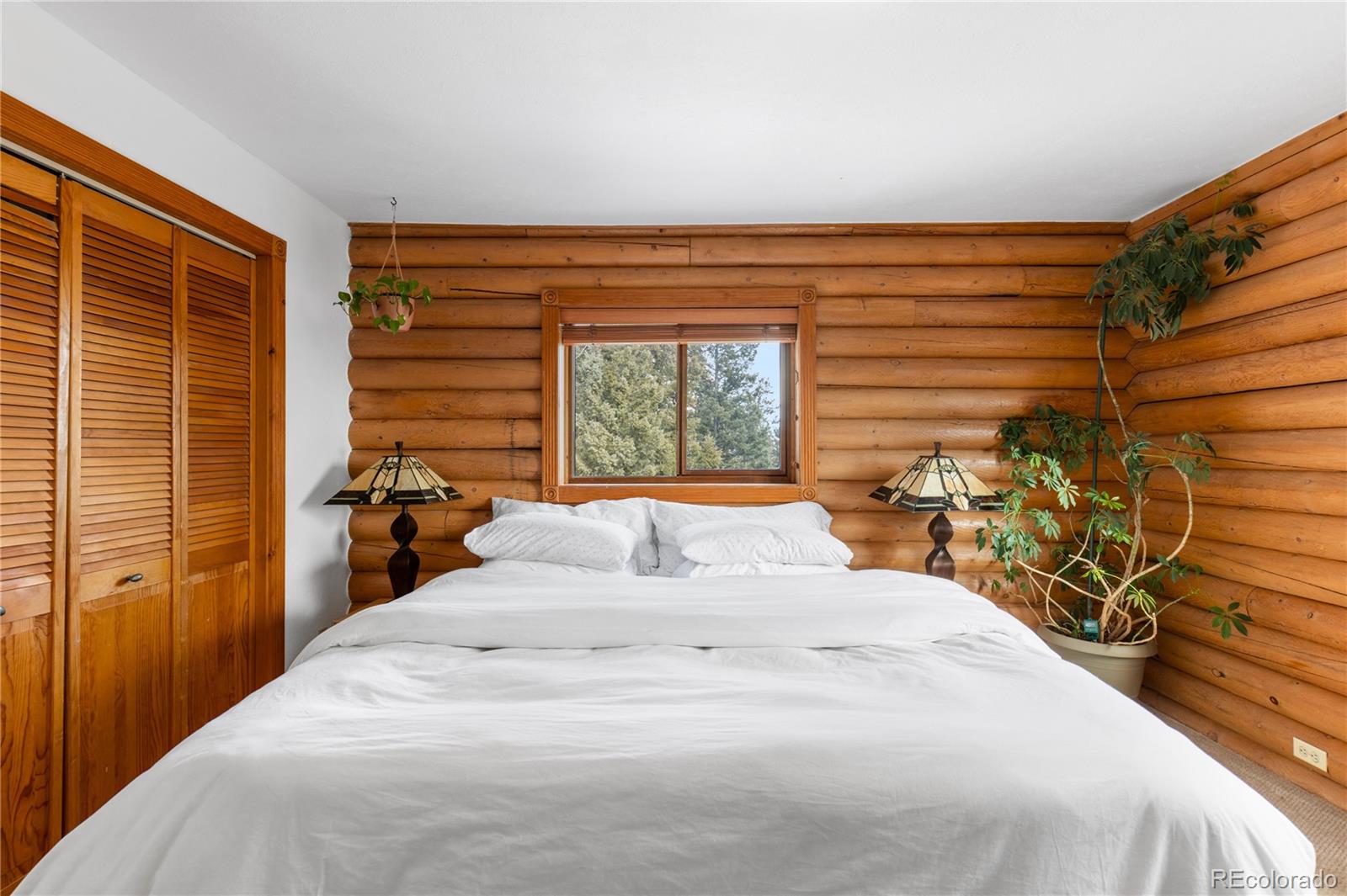 MLS Image #21 for 10221  blue sky trail,conifer, Colorado