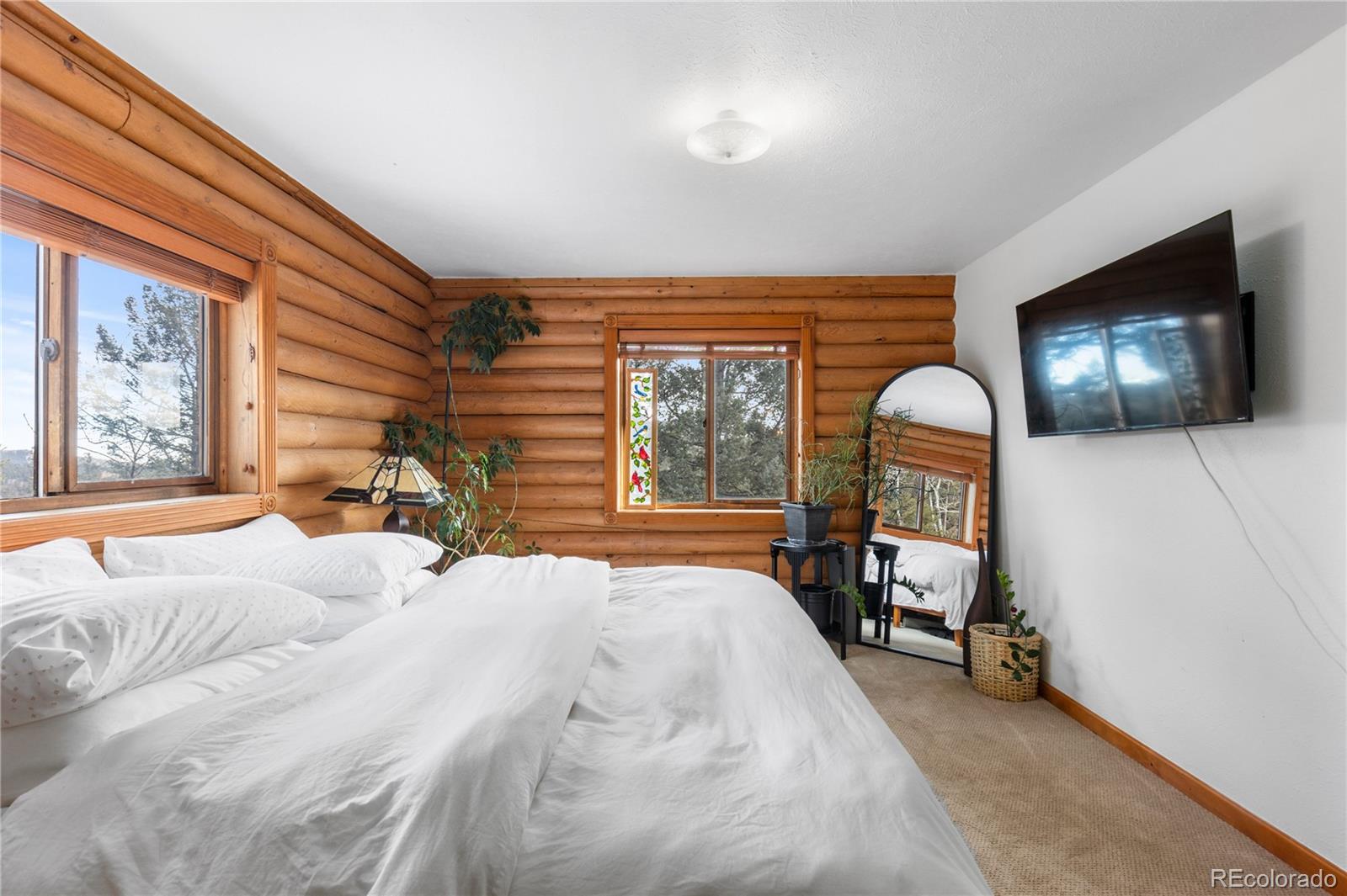 MLS Image #23 for 10221  blue sky trail,conifer, Colorado