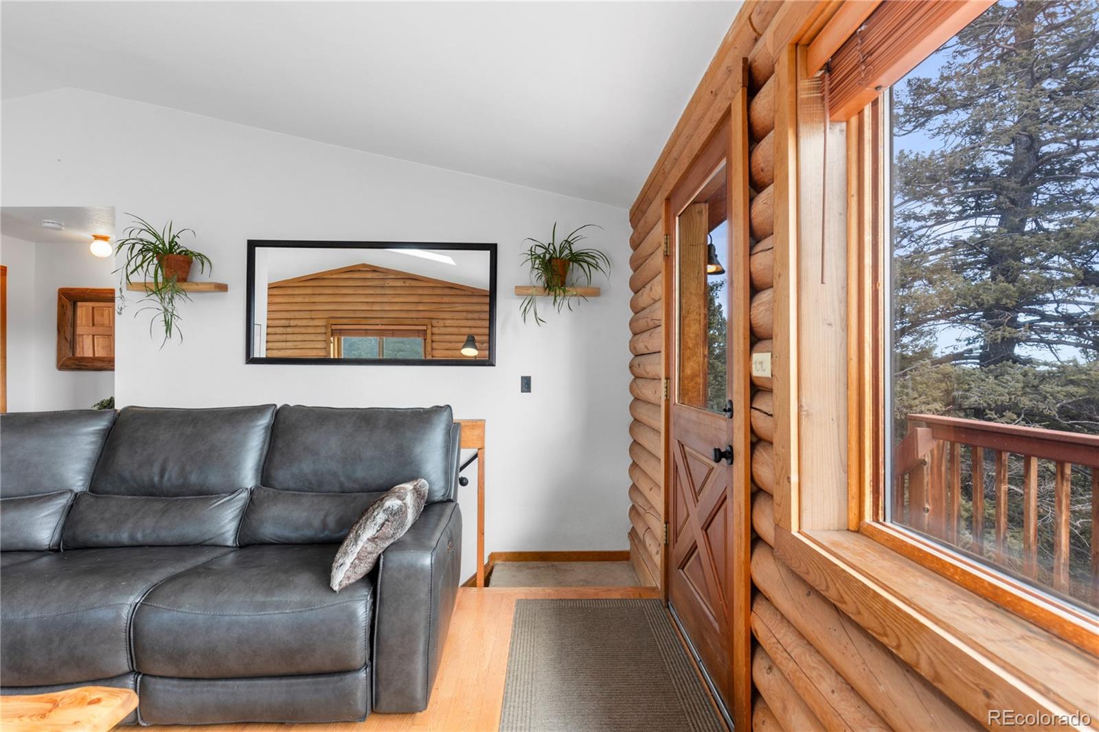 MLS Image #3 for 10221  blue sky trail,conifer, Colorado