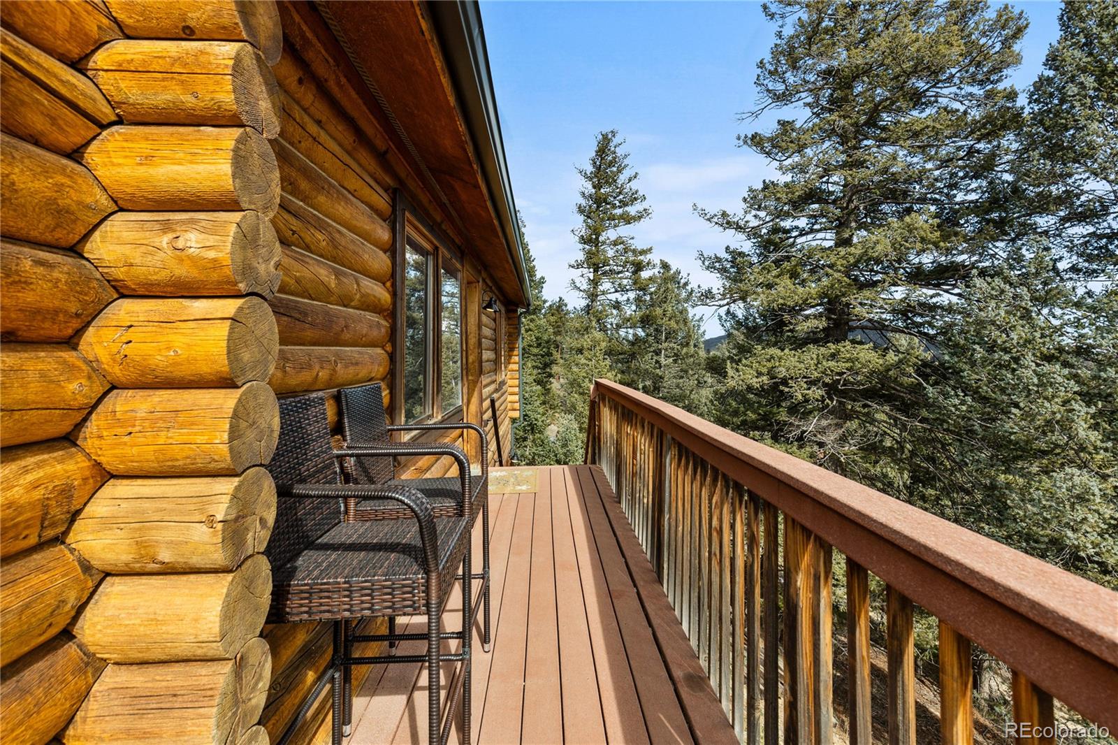 MLS Image #31 for 10221  blue sky trail,conifer, Colorado