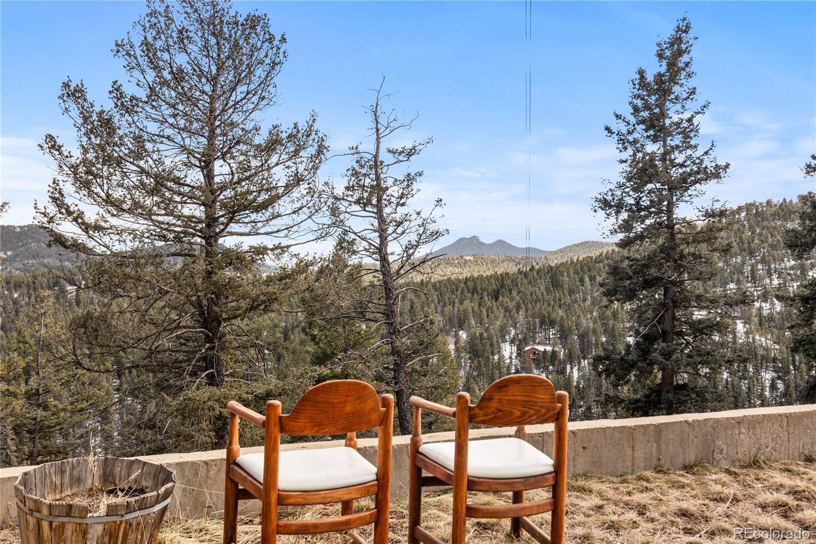 MLS Image #32 for 10221  blue sky trail,conifer, Colorado