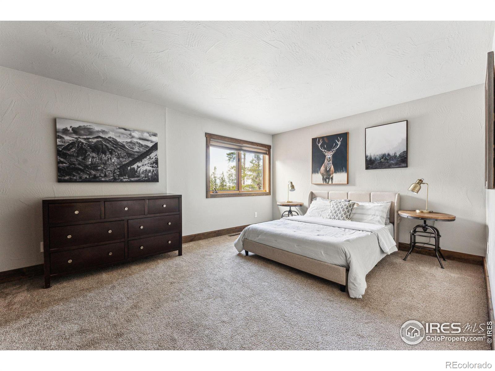 MLS Image #27 for 467  gcr 835 ,fraser, Colorado