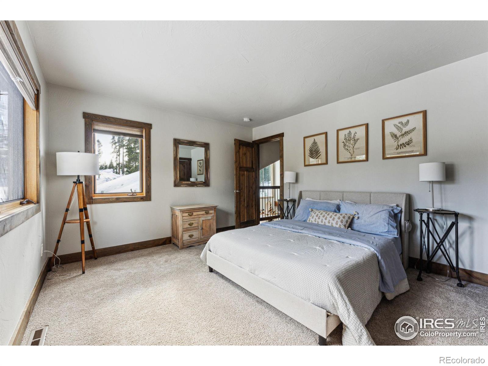 MLS Image #29 for 467  gcr 835 ,fraser, Colorado