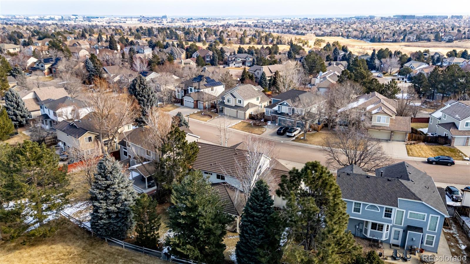 MLS Image #42 for 9683  las colinas drive,lone tree, Colorado