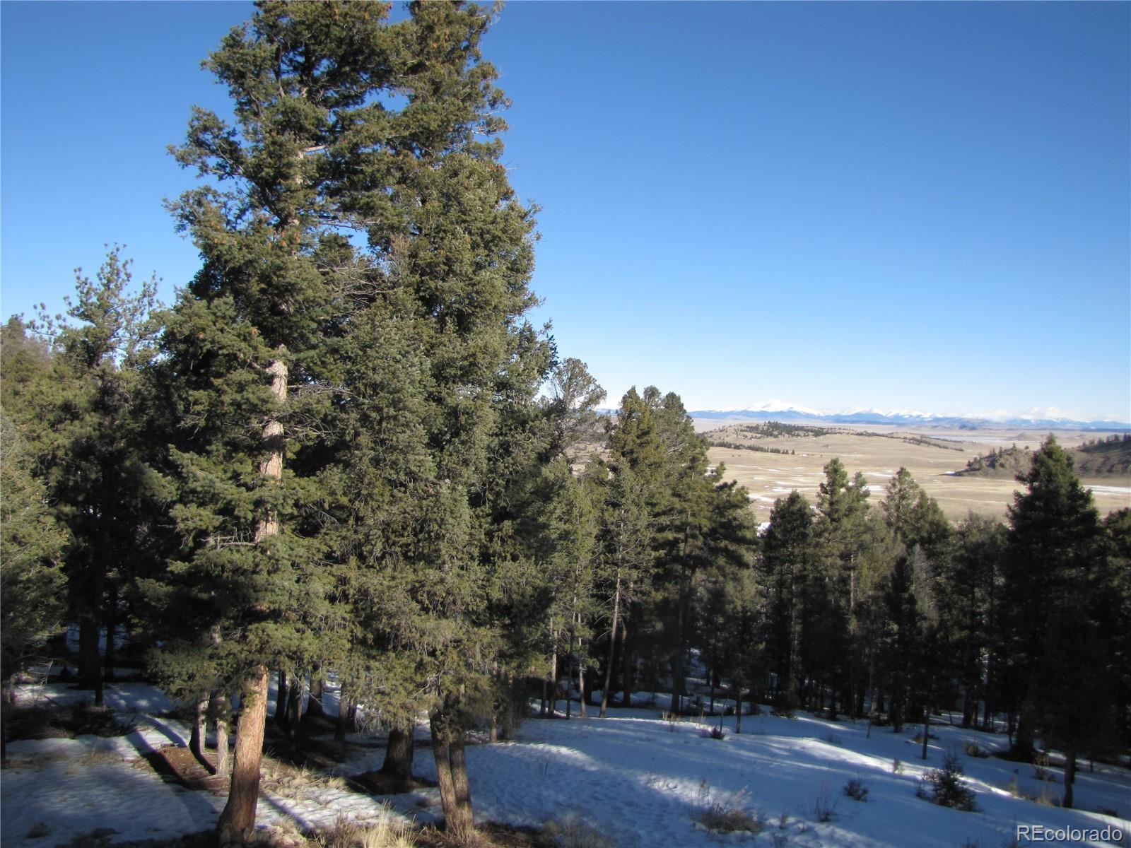 MLS Image #19 for 105  ladigo lane,hartsel, Colorado