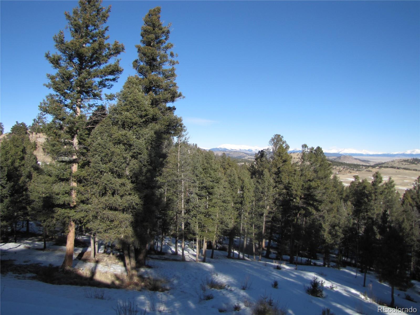 MLS Image #22 for 105  ladigo lane,hartsel, Colorado