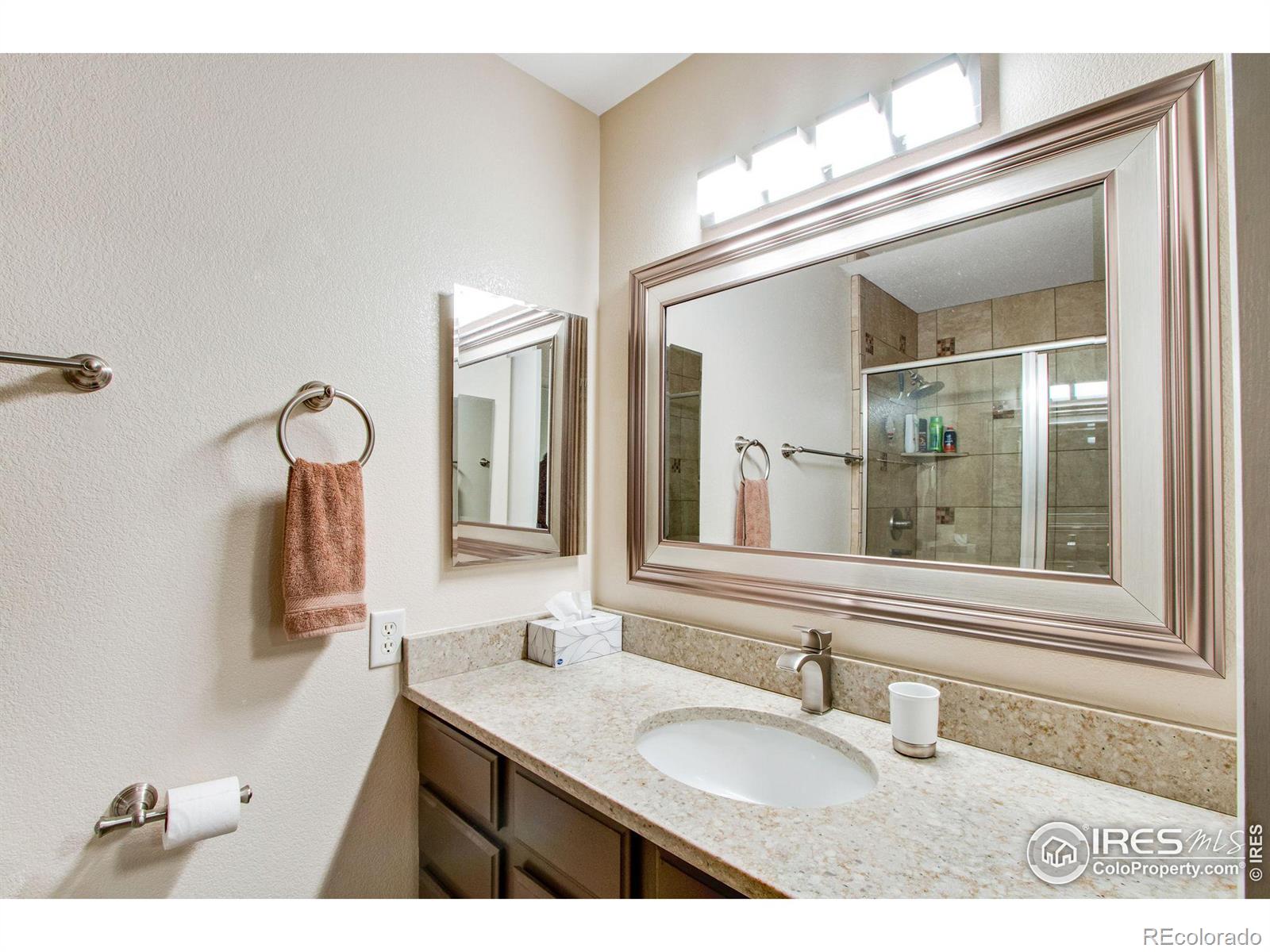 MLS Image #20 for 246  shupe circle,loveland, Colorado