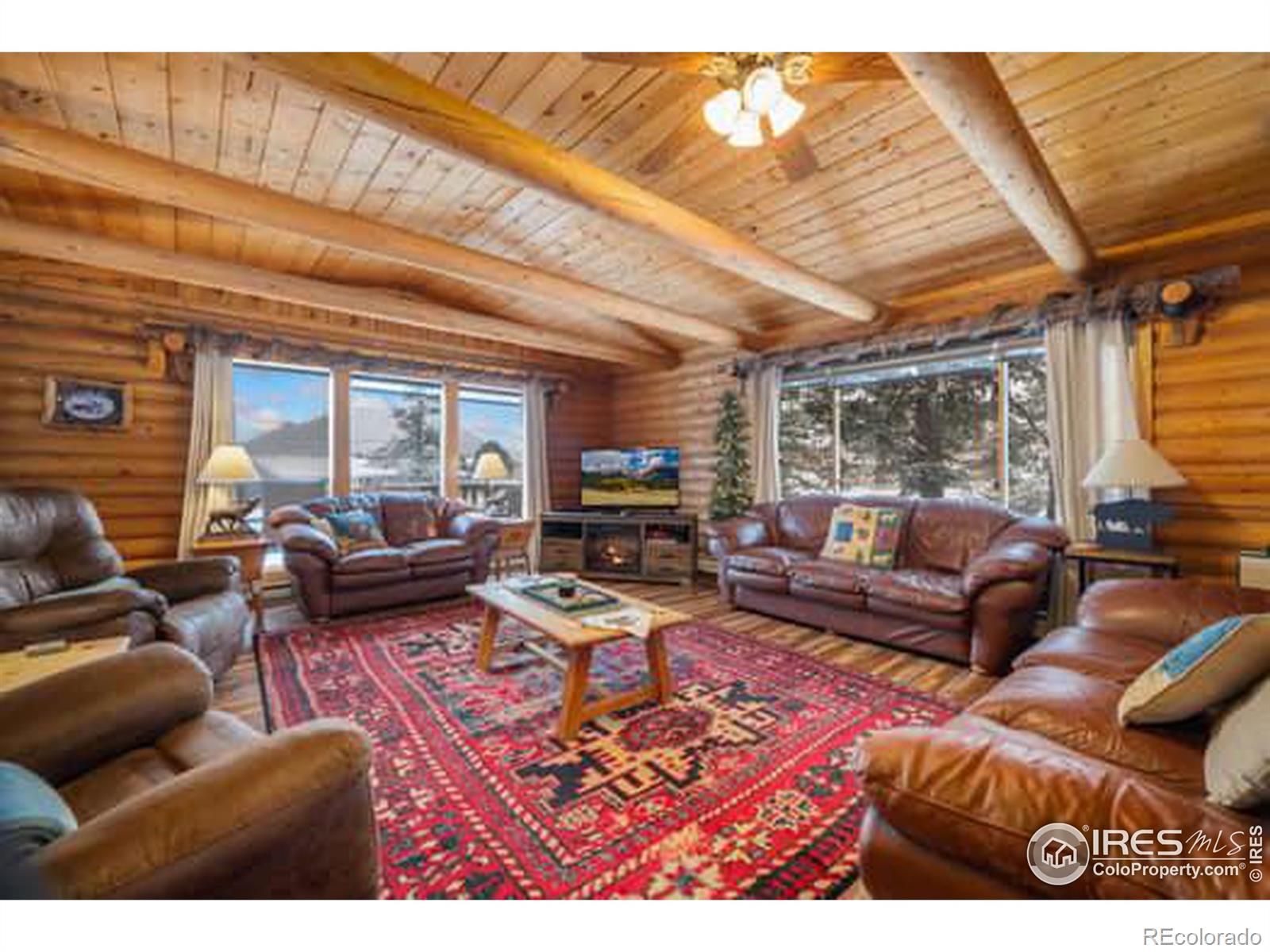 MLS Image #10 for 1810 n ridge lane,estes park, Colorado