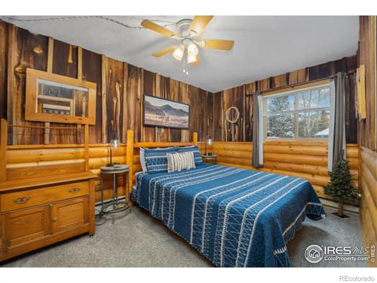 MLS Image #23 for 1810 n ridge lane,estes park, Colorado