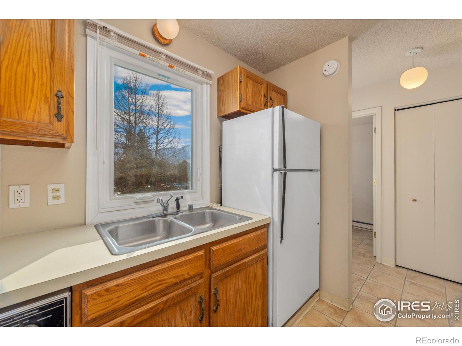 MLS Image #14 for 1050 s saint vrain avenue,estes park, Colorado