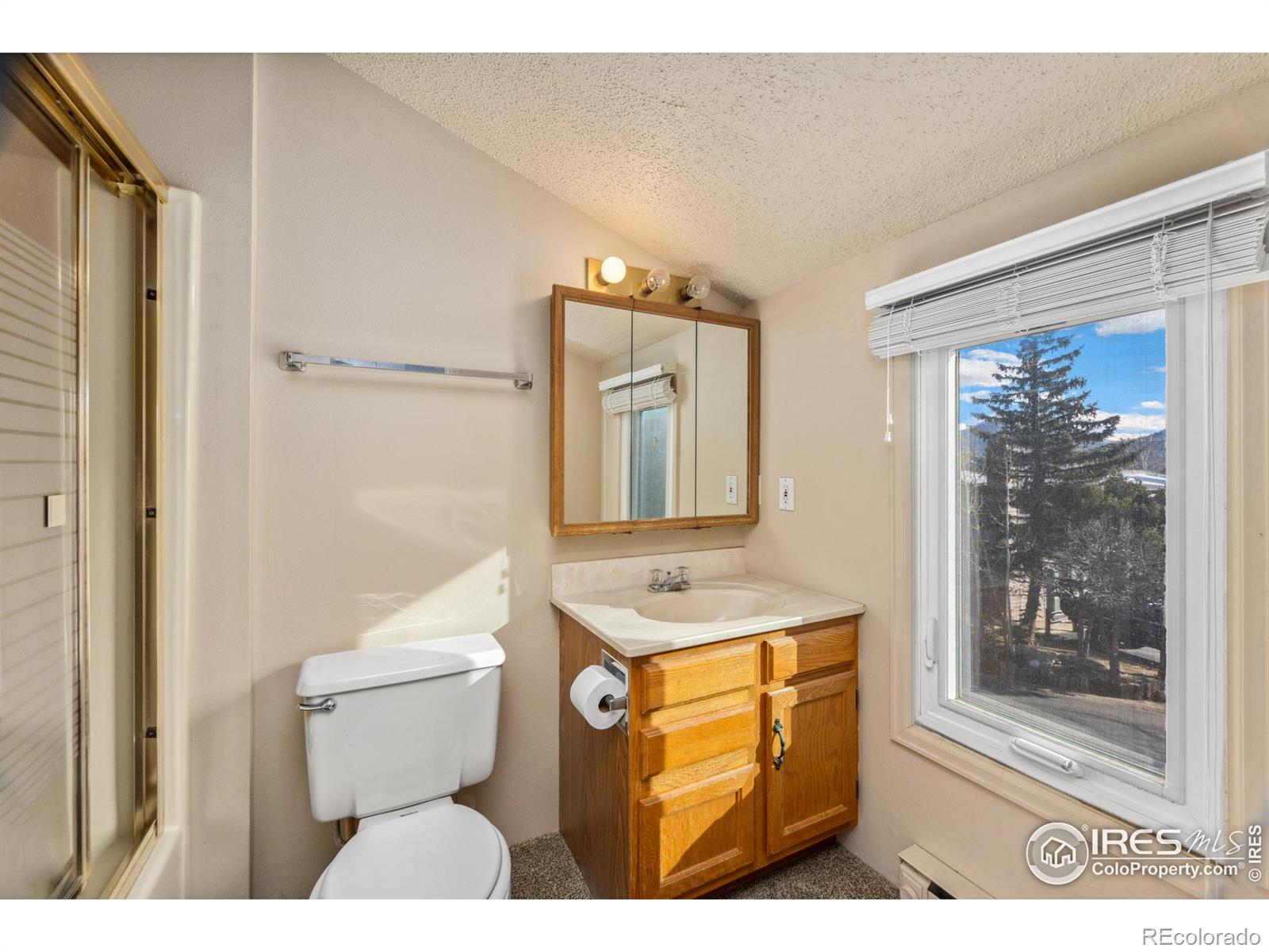 MLS Image #25 for 1050 s saint vrain avenue,estes park, Colorado