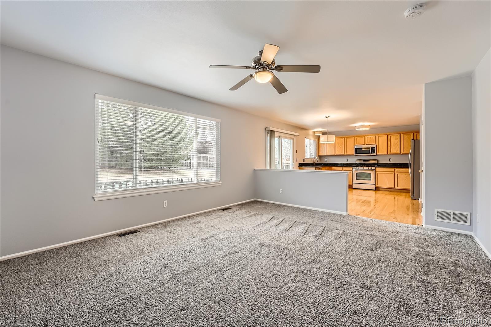 MLS Image #14 for 22162 e alamo lane,centennial, Colorado