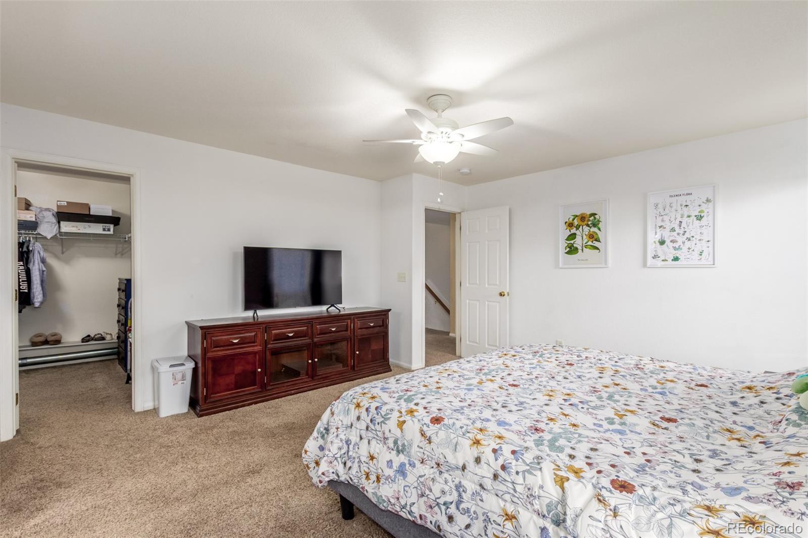 MLS Image #11 for 6193  brantly avenue,castle rock, Colorado
