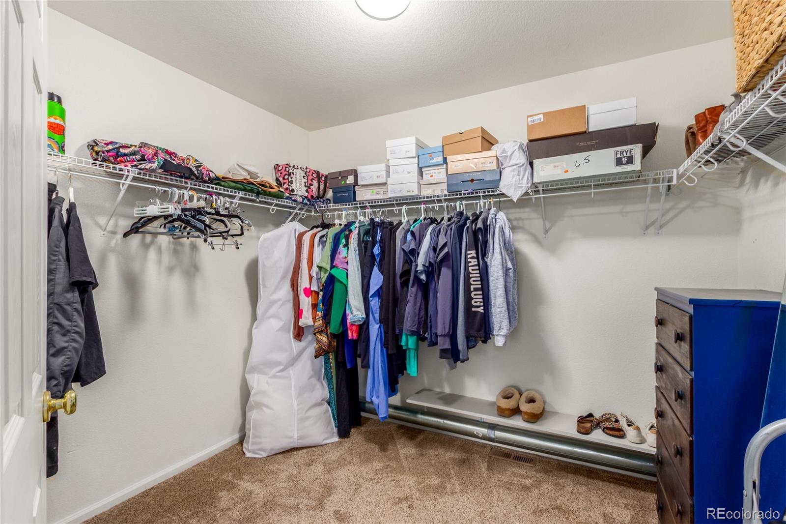 MLS Image #14 for 6193  brantly avenue,castle rock, Colorado