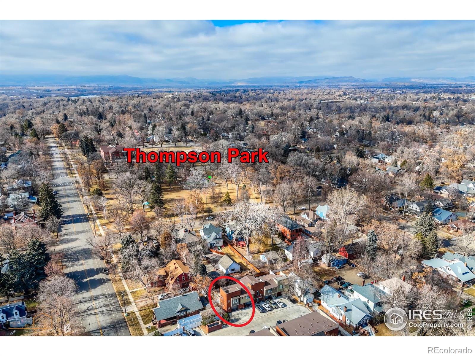 MLS Image #3 for 409  terry street,longmont, Colorado