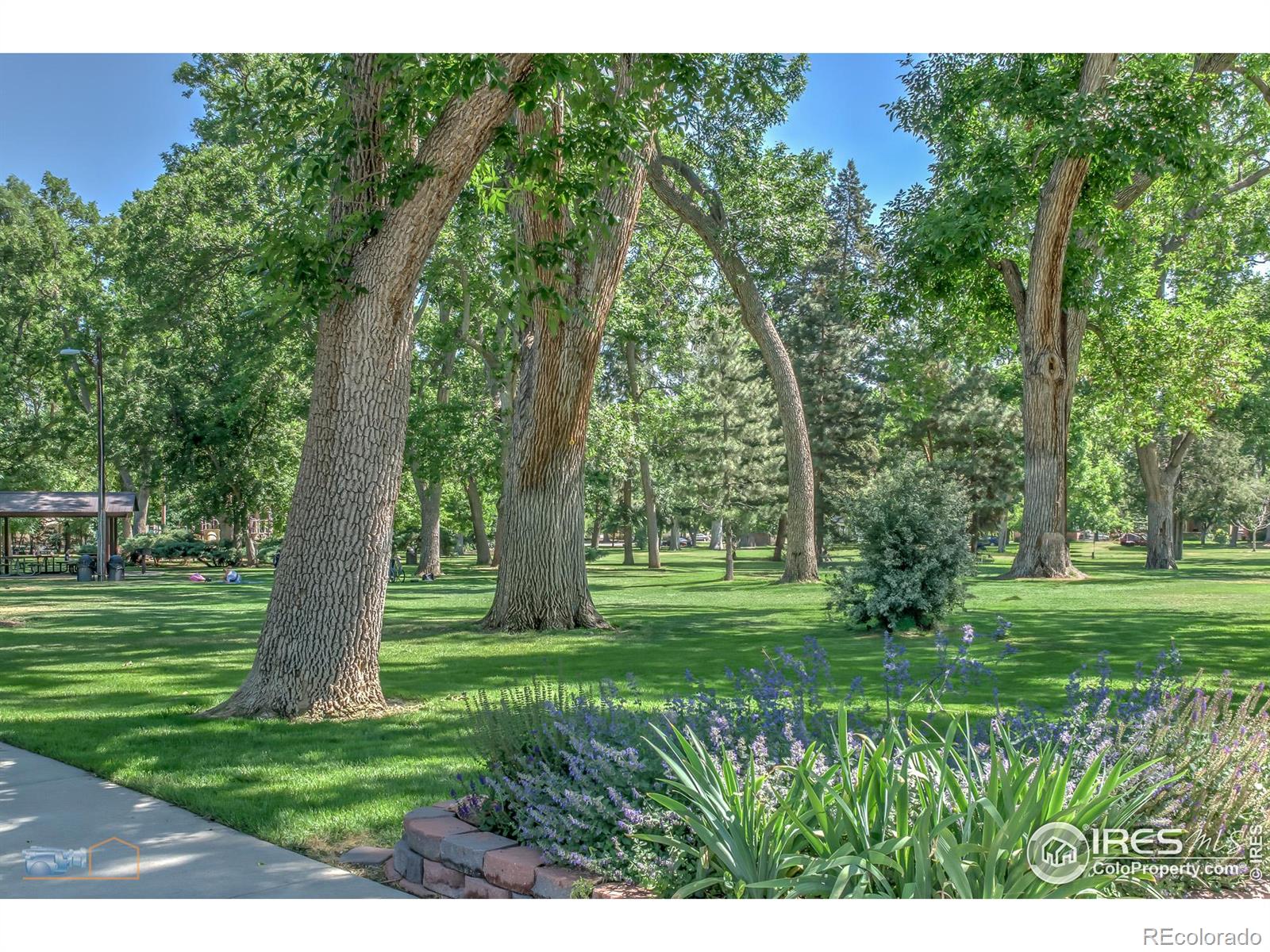 MLS Image #33 for 409  terry street,longmont, Colorado