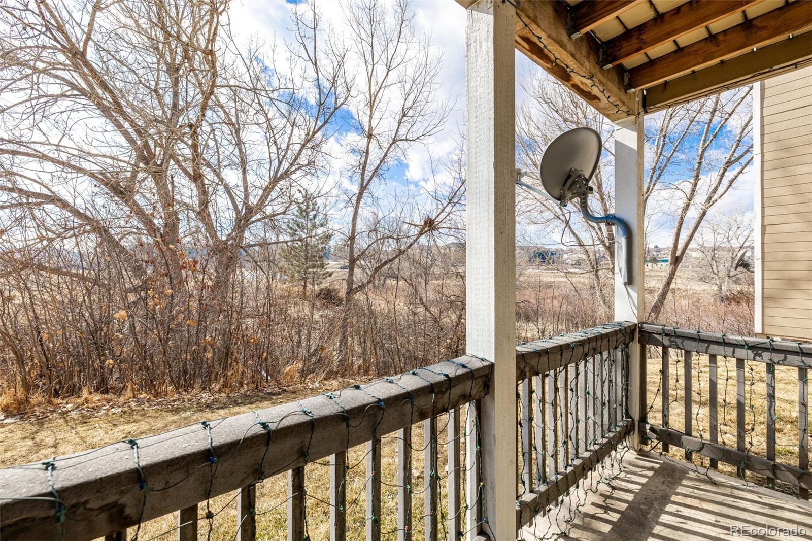 MLS Image #14 for 1273 s gilbert street,castle rock, Colorado