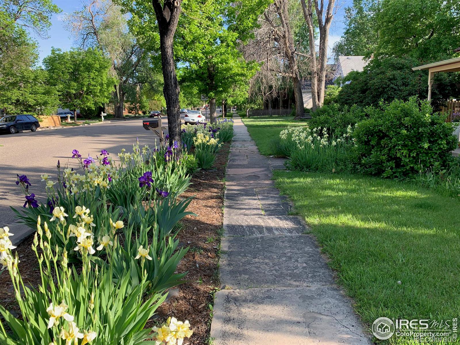 MLS Image #35 for 749 n 4th street,berthoud, Colorado