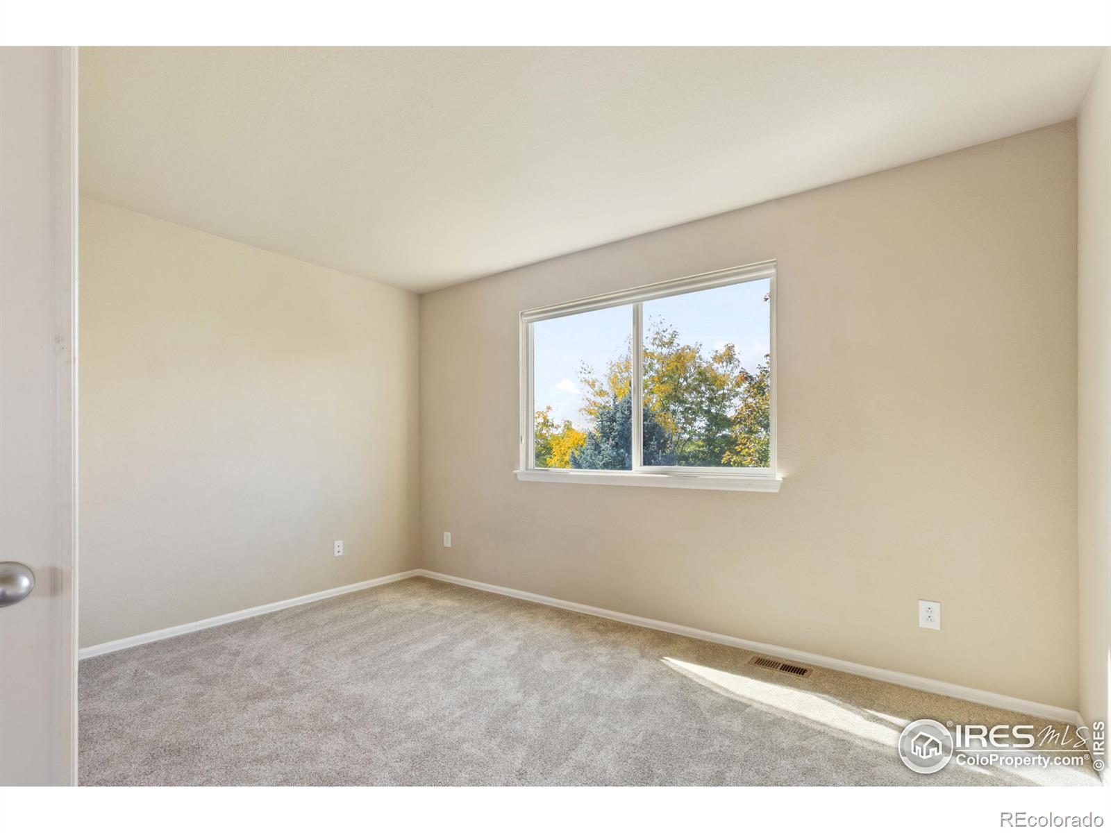 MLS Image #22 for 5989  sand cherry lane,timnath, Colorado