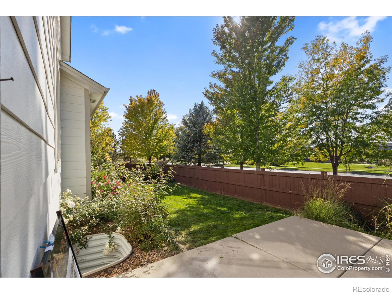 MLS Image #29 for 5989  sand cherry lane,timnath, Colorado