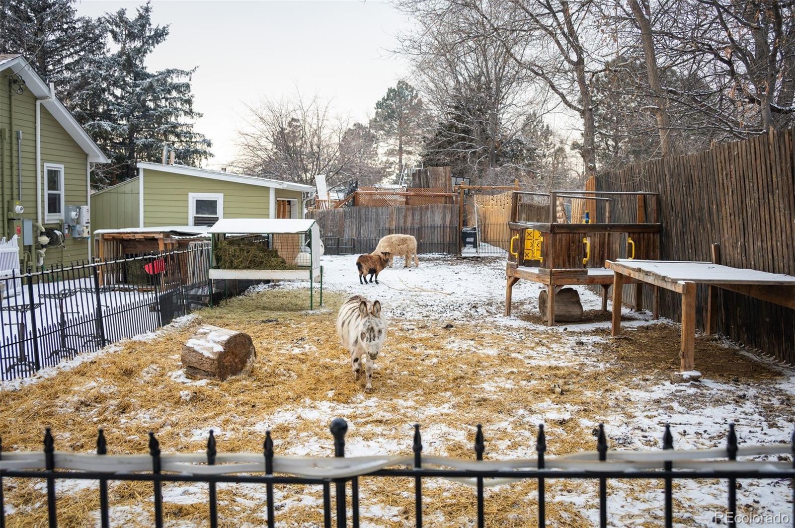 MLS Image #5 for 1205  lee street,lakewood, Colorado