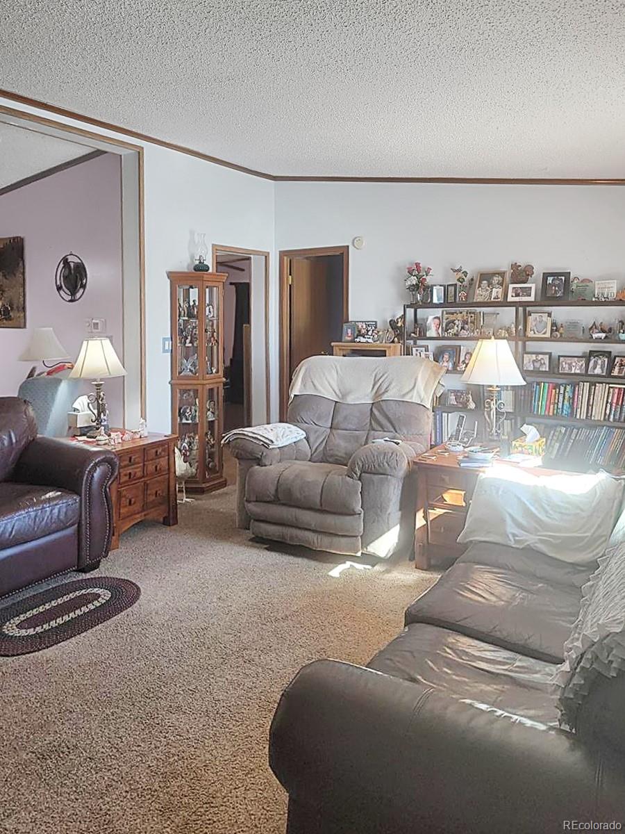 MLS Image #6 for 313 w 3rd avenue,byers, Colorado