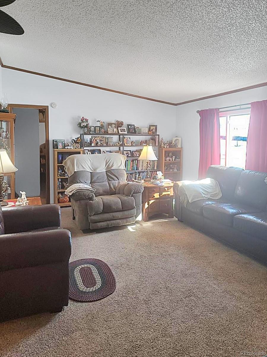 MLS Image #7 for 313 w 3rd avenue,byers, Colorado