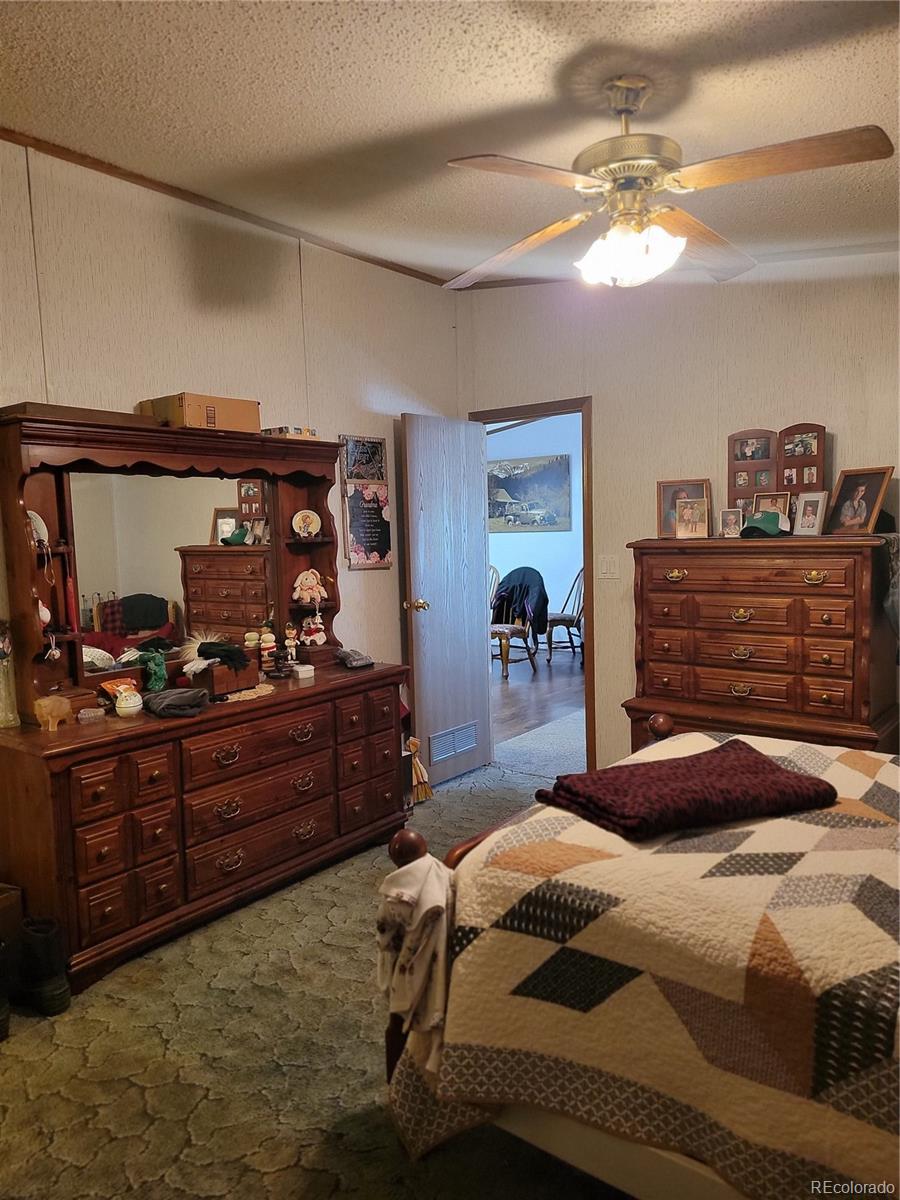 MLS Image #8 for 313 w 3rd avenue,byers, Colorado