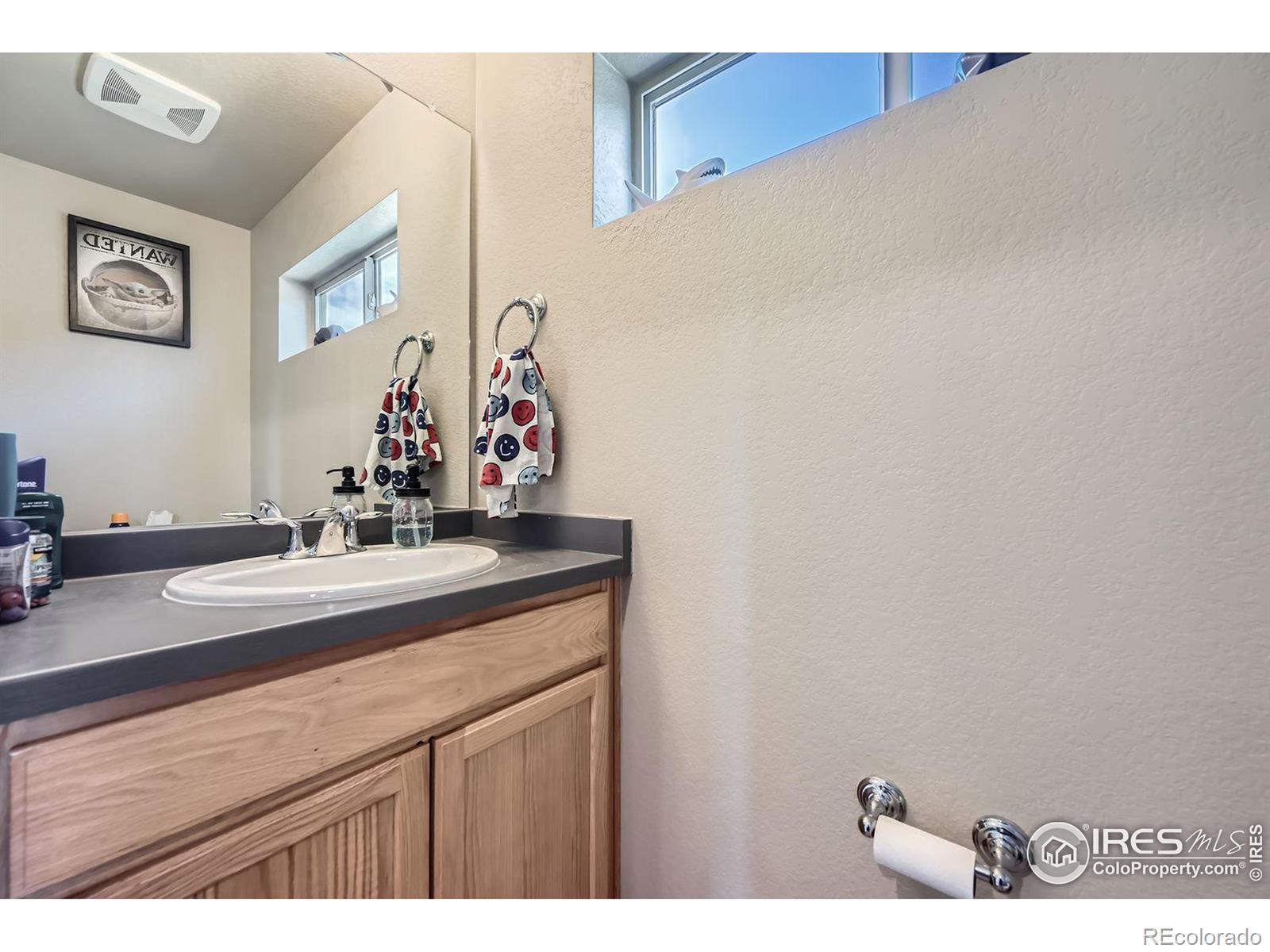 MLS Image #5 for 1117  hummingbird circle,longmont, Colorado