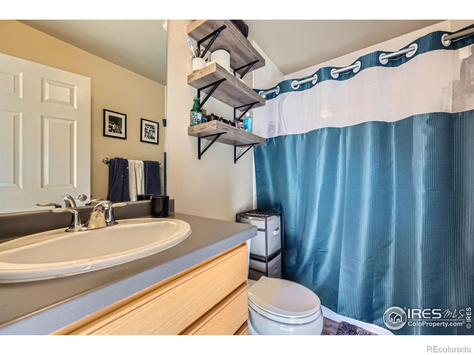 MLS Image #7 for 1117  hummingbird circle,longmont, Colorado