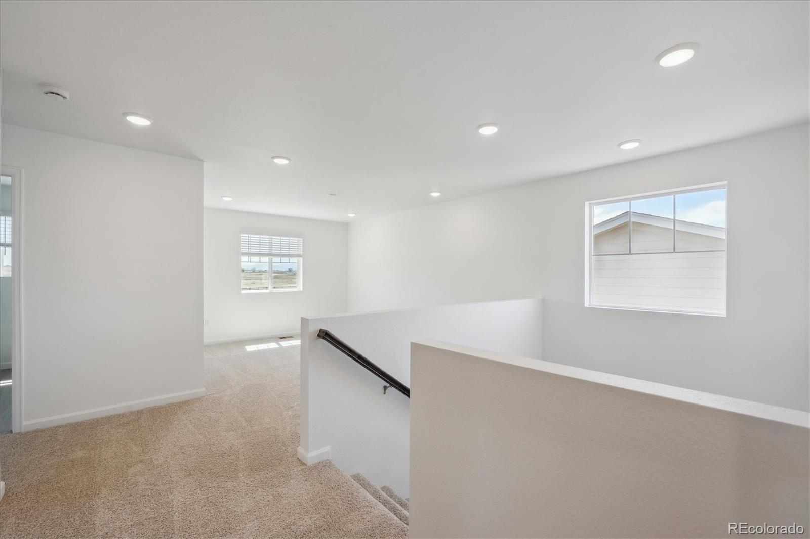 MLS Image #10 for 6146  amerifax drive,windsor, Colorado