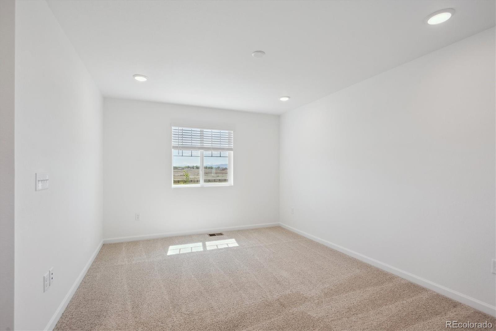 MLS Image #11 for 6146  amerifax drive,windsor, Colorado