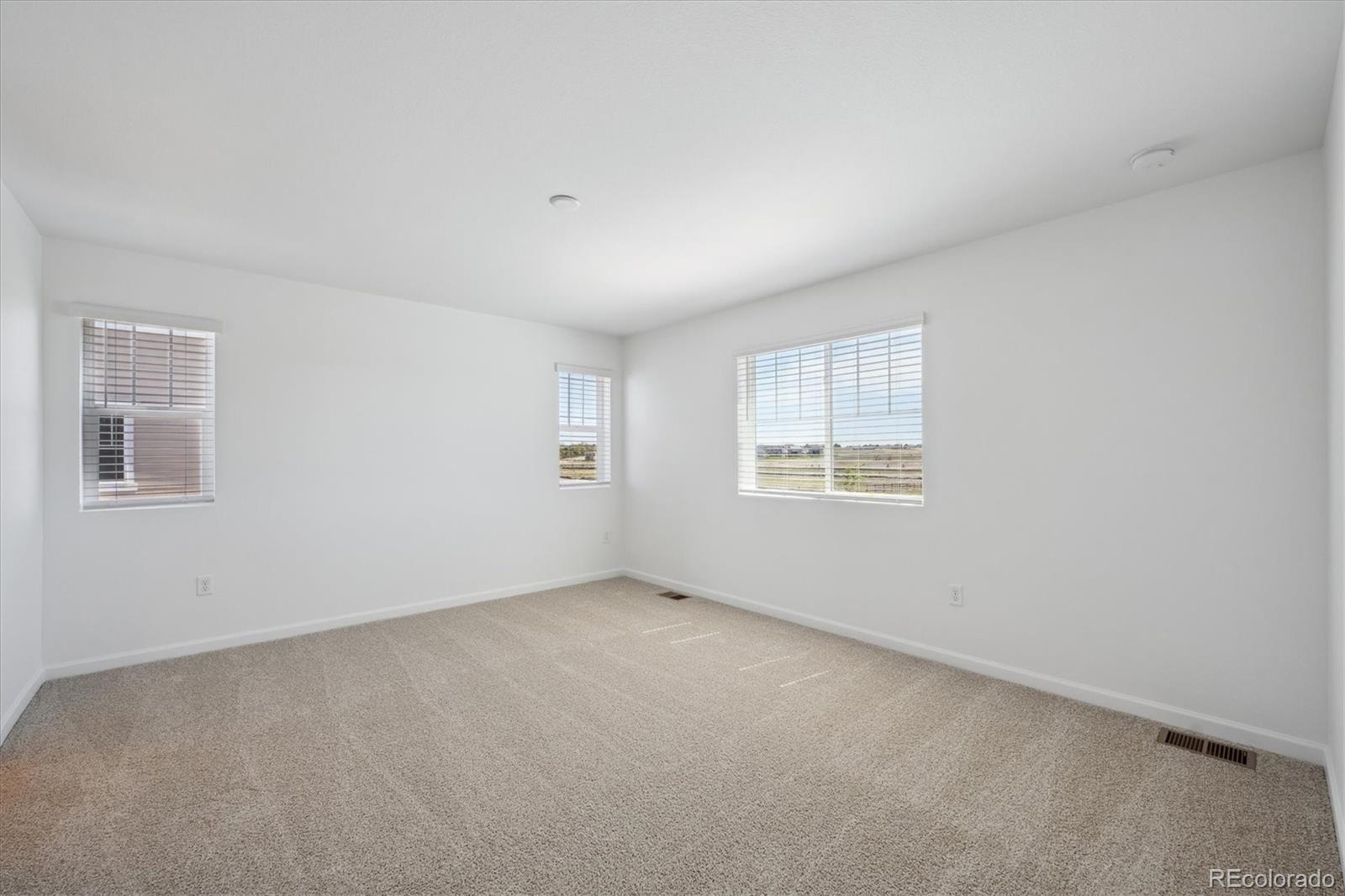 MLS Image #13 for 6146  amerifax drive,windsor, Colorado