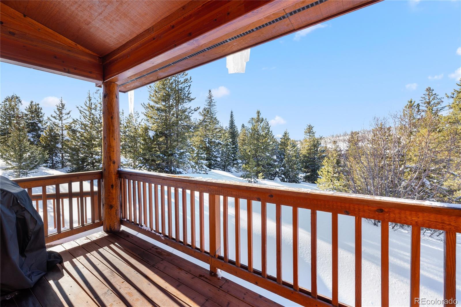 MLS Image #22 for 83  lookout ridge drive,dillon, Colorado