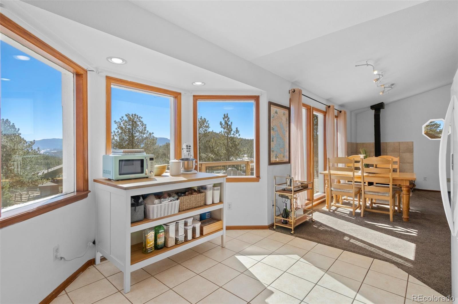 MLS Image #12 for 73  sunlight lane,bailey, Colorado