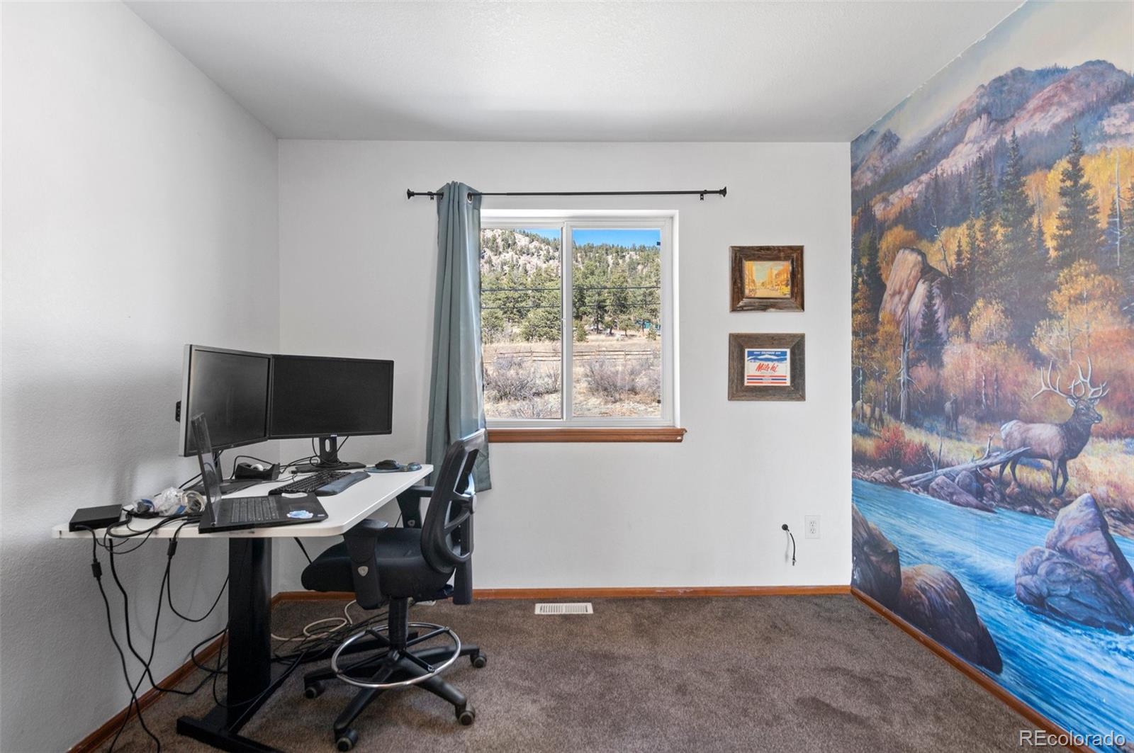 MLS Image #21 for 73  sunlight lane,bailey, Colorado